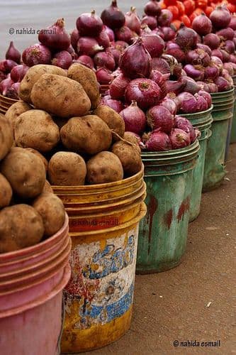 The Nelion Finance Journey: Empowering Tanzanian Visionaries