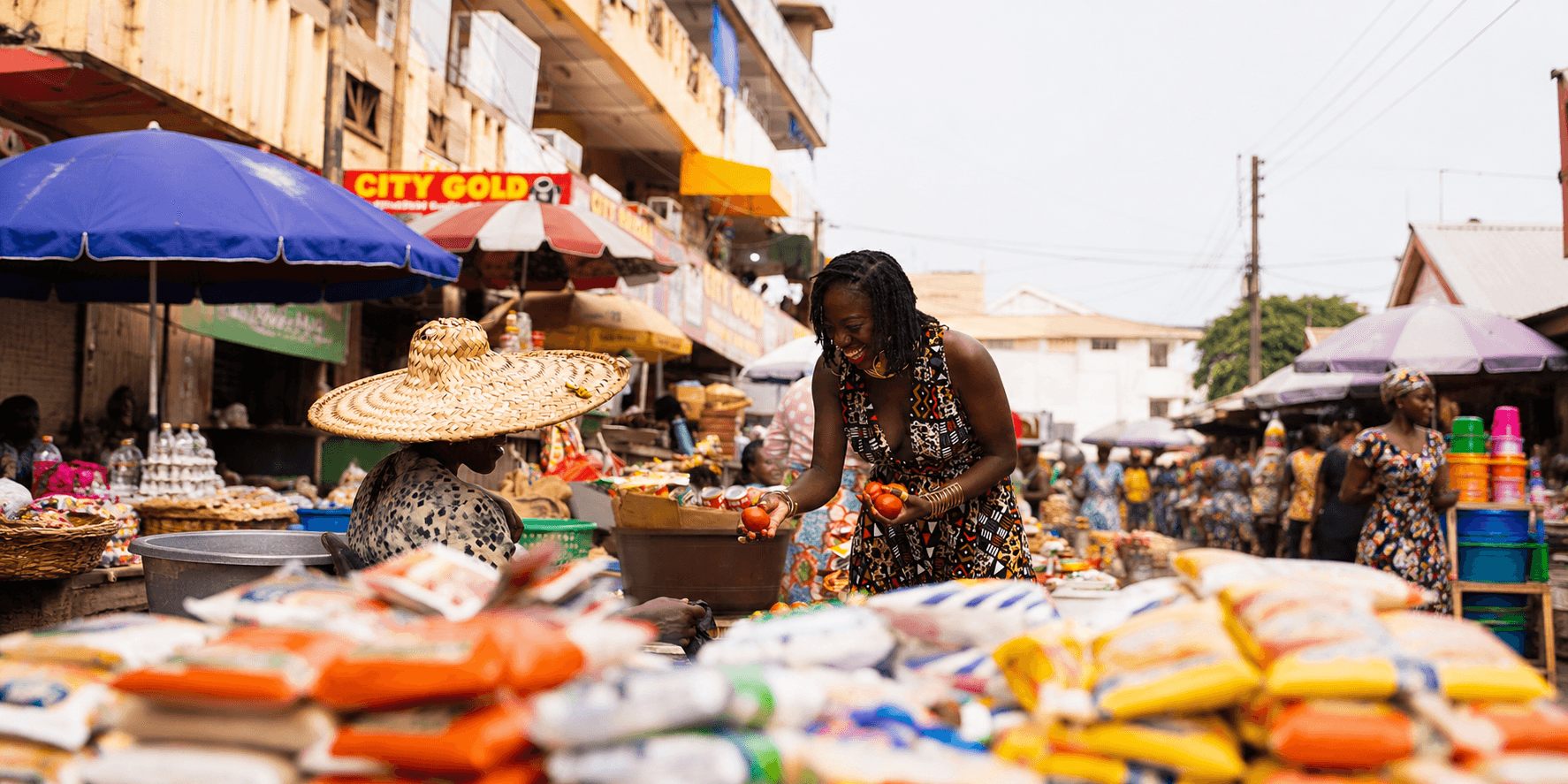 Empowering Local Traders - Nelion Finance